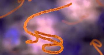ebola