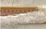 thermometer-schnee-kalt-kaelte