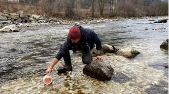 eimaterialmarmorierteforelle2