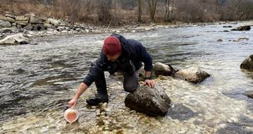 eimaterialmarmorierteforelle2