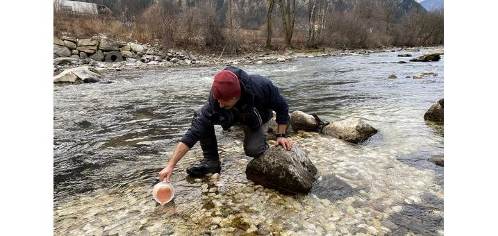 eimaterialmarmorierteforelle2