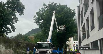 ulme-sterzing